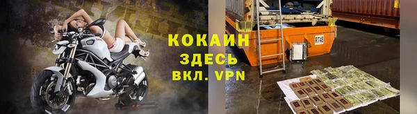 прущие грибы Волоколамск