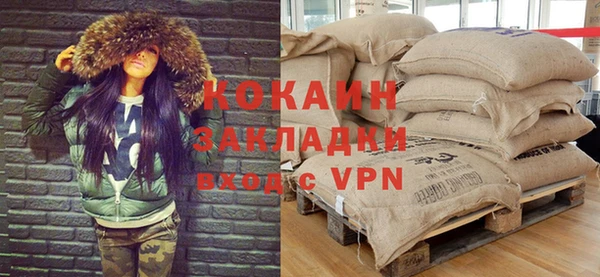 прущие грибы Волоколамск