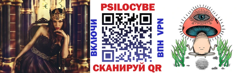 Купить  Макарьев  Псилоцибиновые грибы Psilocybine cubensis 